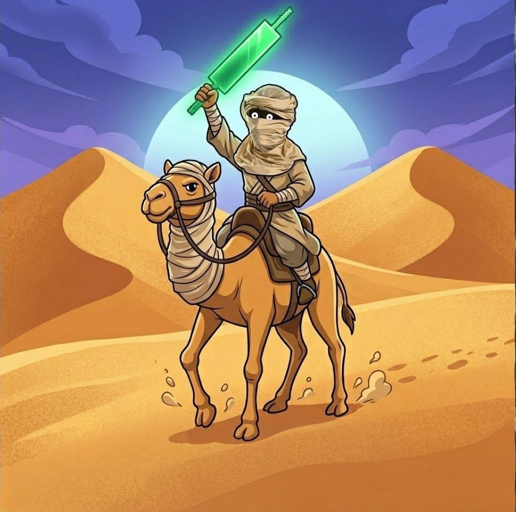 Cheche in the desert